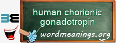 WordMeaning blackboard for human chorionic gonadotropin